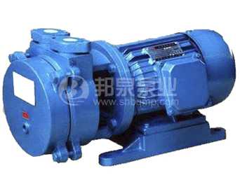 SK單級直聯式水環(huán)真空泵