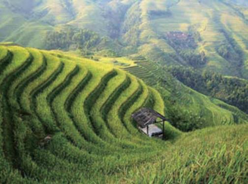 農(nóng)田排灌、水利領(lǐng)域